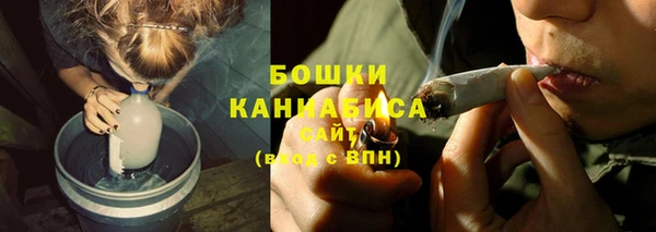 шишки Горнозаводск