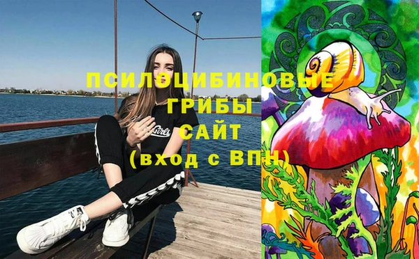 шишки Горнозаводск